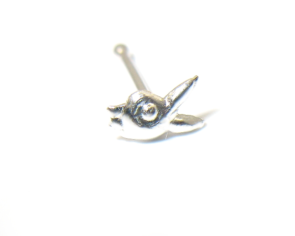 Piercing do nosu Zajíc